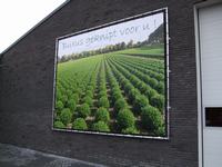 Gevelreclame Buxus